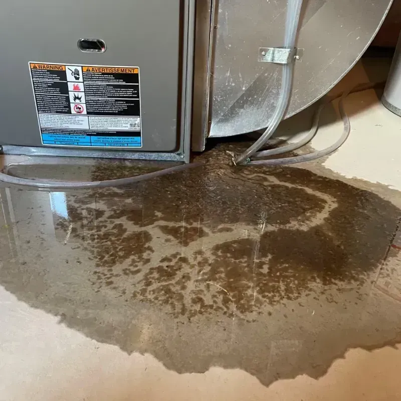 Appliance Leak Cleanup in Pacific City, OR